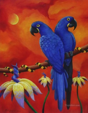  vögel - Papageien in rotem Hintergrund Vögel